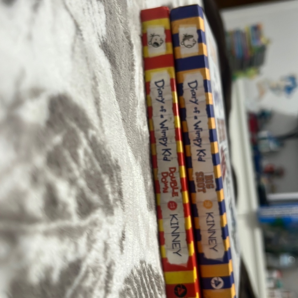Diary of a wimpy kid 2 book bundle
